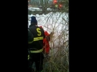 Dog Rescued!! stuck in ice