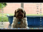 How to Take a ScreenShot of your Mac|Taking a picture of your desktop using your Mac...