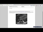 How do I read radiology reports within my EHR? // Free iPad iPhone Web EHR | drchrono