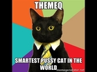 The Smartest Cat in The World