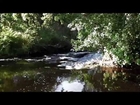 Salmon Fishing River Dee Scotland