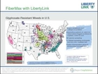 FiberMax Cotton - 2012 LibertyLink Variety Guide
